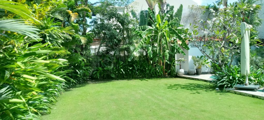 vệ-sinh-s&acirc;n-vườn-đ&oacute;n-tết