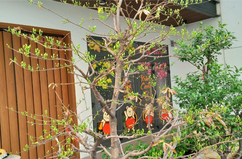 vệ-sinh-s&acirc;n-vườn-đ&oacute;n-tết